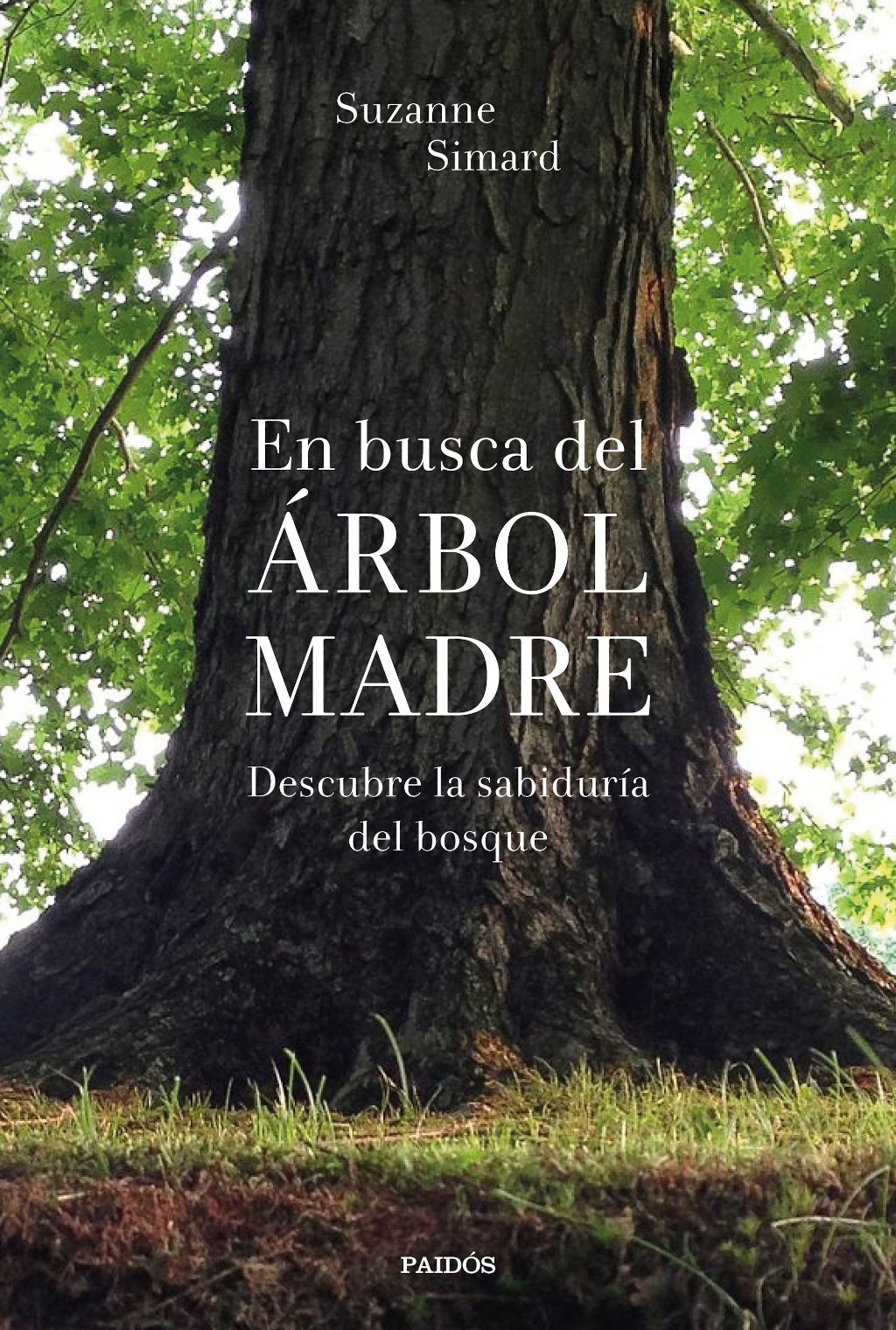 Portada En busca del Árbol Madre