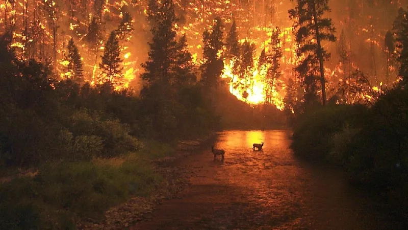 Ciencia y soluciones para la #EmergenciaClimática