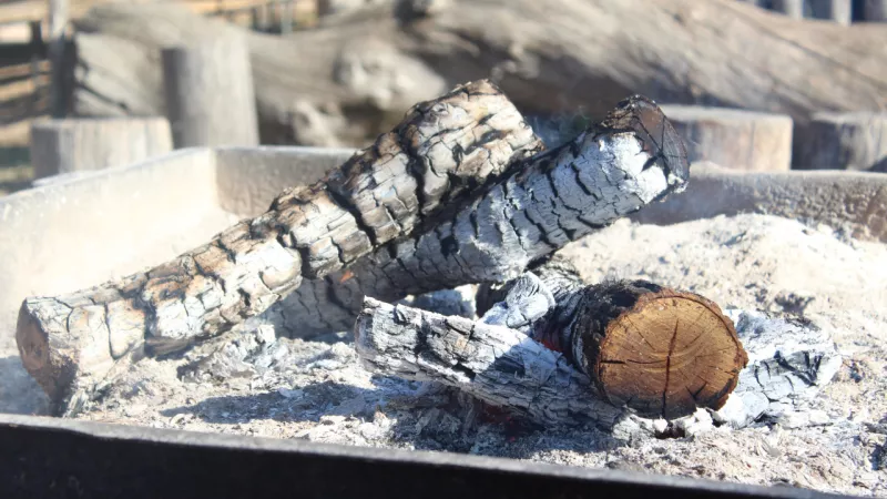 Leños en proceso de combustión