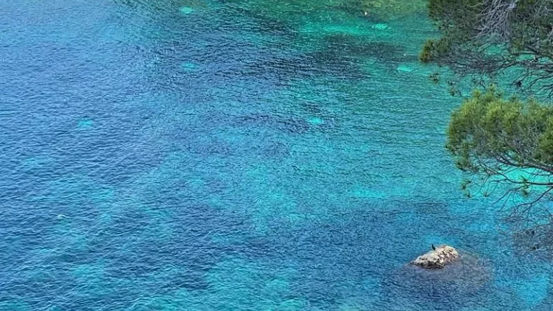 Visión aérea de una cala de la Costa Brava