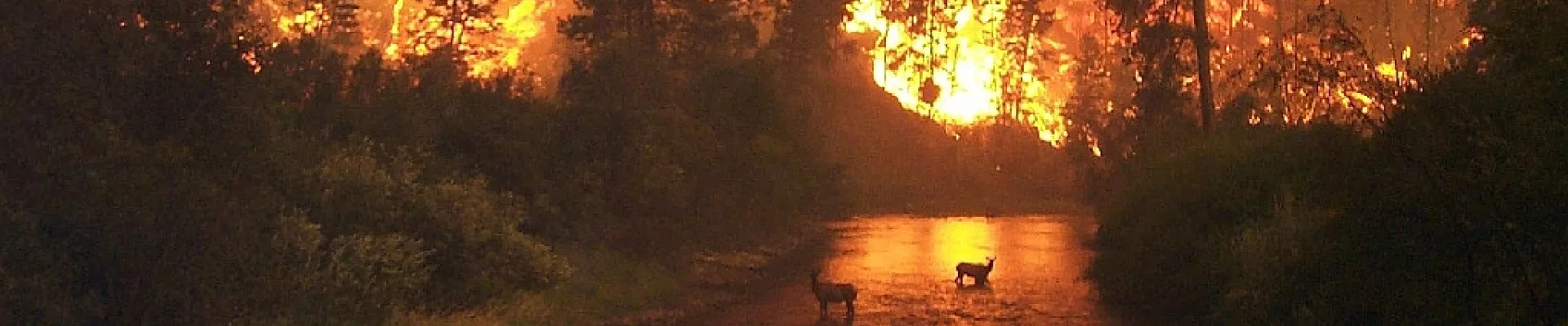 Ciencia y soluciones para la #EmergenciaClimática