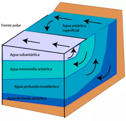 Esquema de masas de agua del entorno de la Antártida.