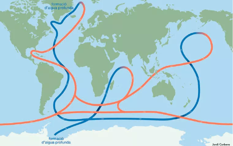  Ilustración del principal sistema de corrientes. En azul, aquellas aguas frías y profundas, y en rojo las más cálidas superficiales.