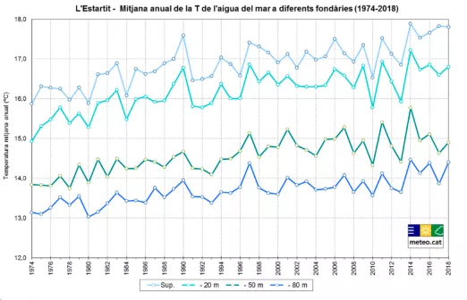 (FIGURA 26) TEMPERATURA L'ESTARTIT DIFERENTS FONDÀRIES (1974-2018, Josep Pascual).png