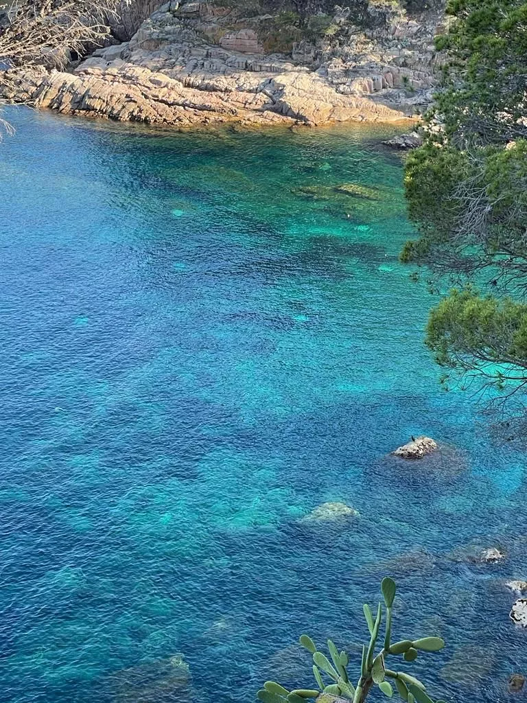 Visión aérea de una cala de la Costa Brava