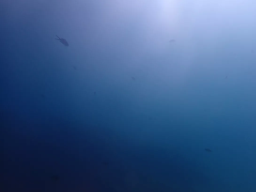 Agua del fondo marino a 20 metros de profundidad