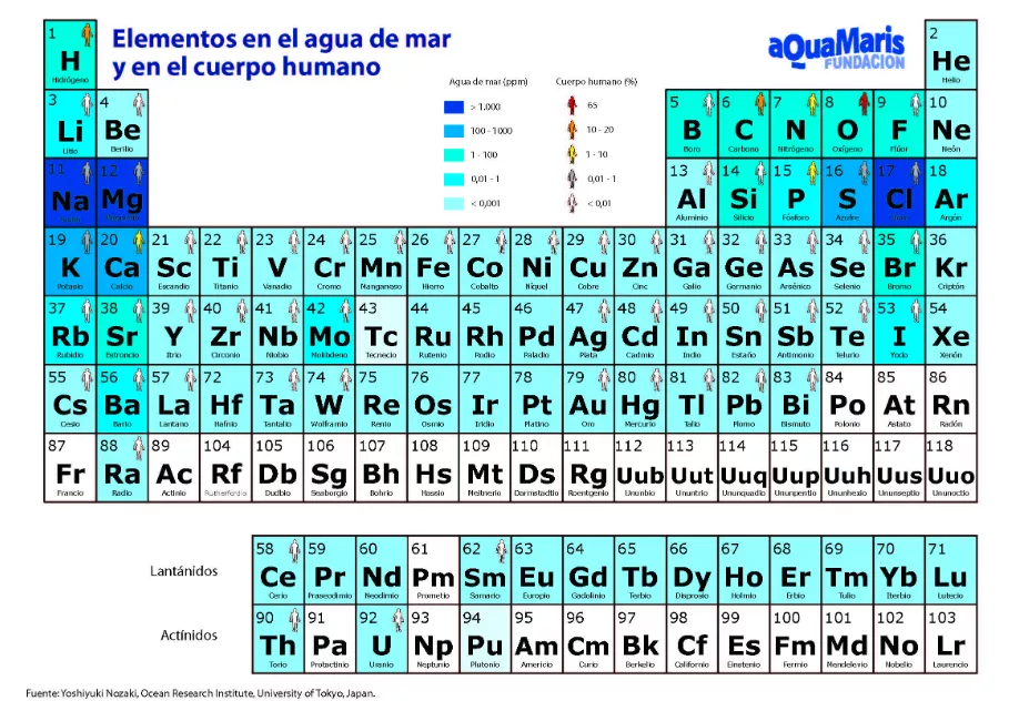 Elementos de la Tabla Periódica disponibles en distintas proporciones en el agua de mar y en el cuerpo humano (Fundación Aqua Maris).